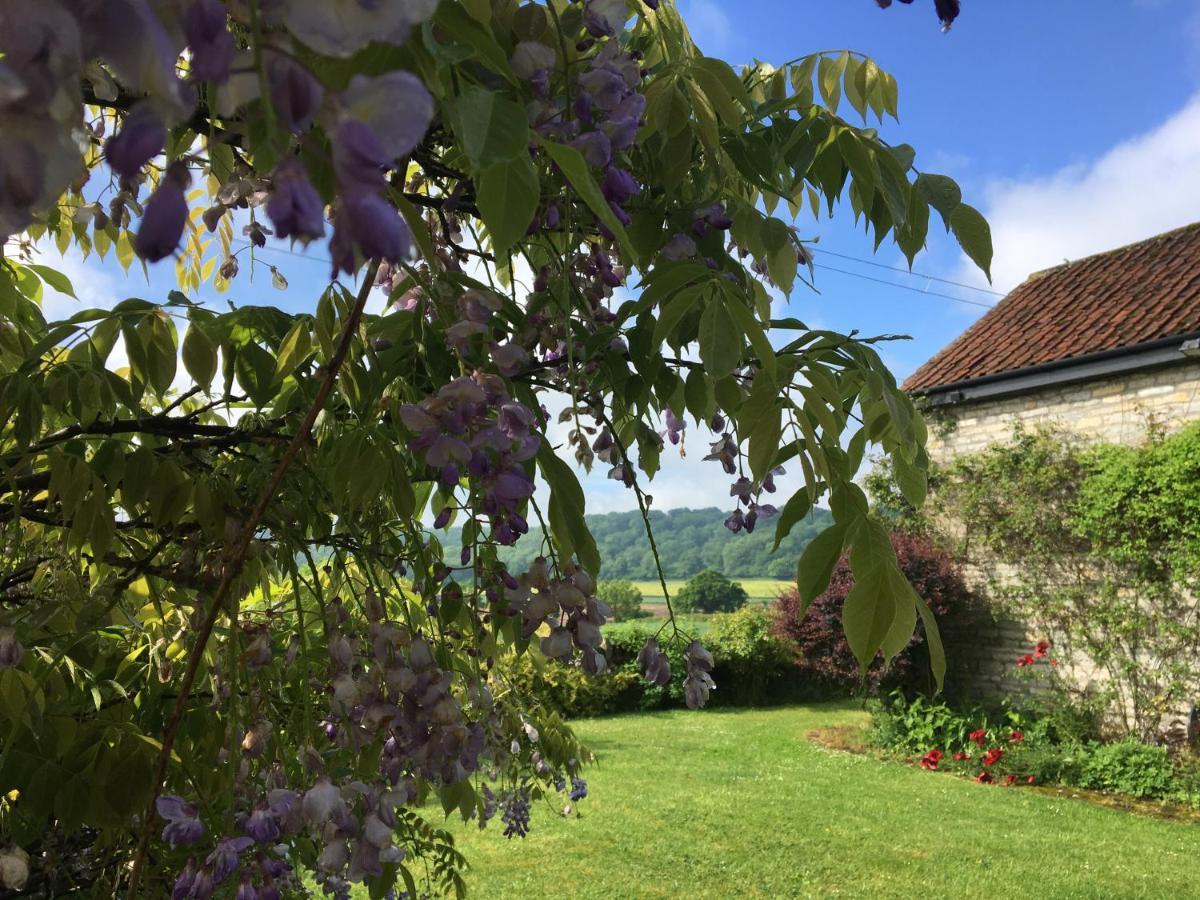 Hurcot Peaceful Stone Barn Conversion In Somerset 빌라 외부 사진